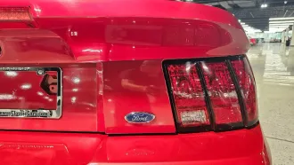 Mustang 13