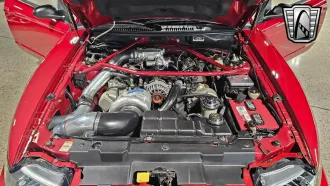 Mustang 21