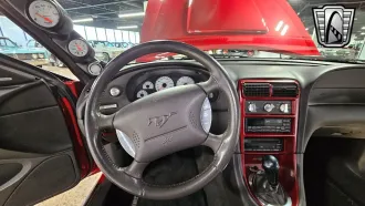 Mustang 24