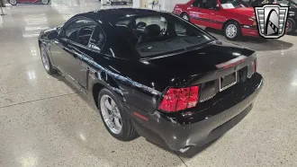 Mustang 3