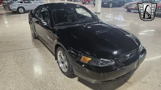 Mustang 5