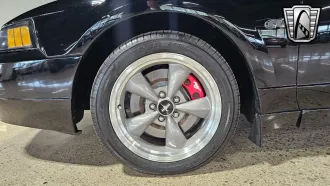 Mustang 6