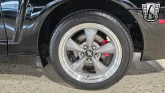 Mustang 7