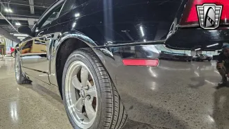 Mustang 12