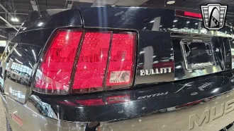 Mustang 13