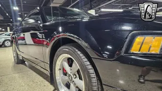 Mustang 16