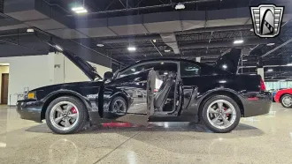 Mustang 17