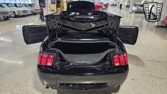 Mustang 18