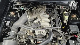 Mustang 21