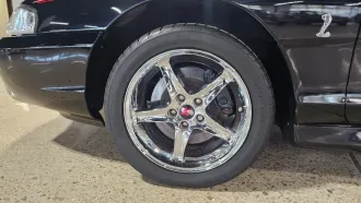 Mustang 7
