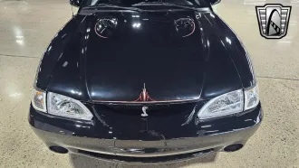Mustang 9