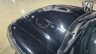 Mustang 10