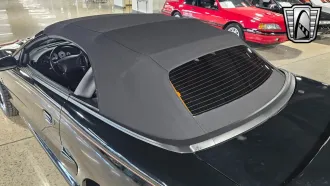 Mustang 12