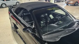 Mustang 17