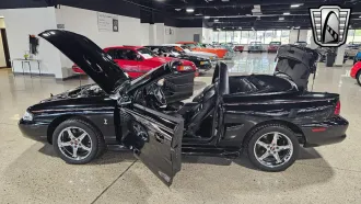 Mustang 19