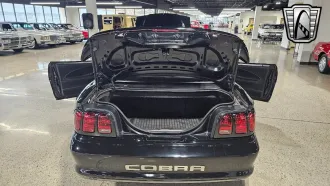 Mustang 20