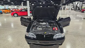 Mustang 22