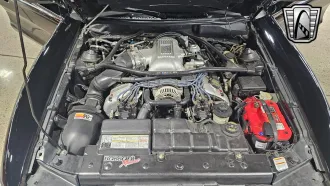 Mustang 23