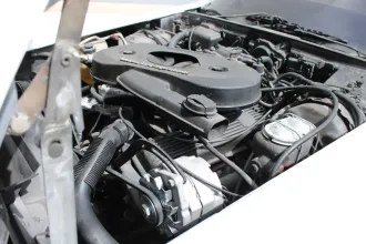 Corvette 19