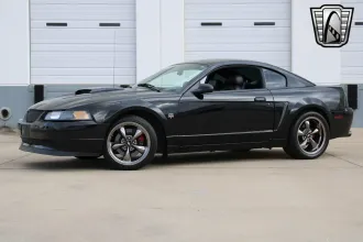 Mustang 2