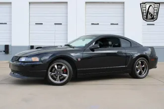 Mustang 3