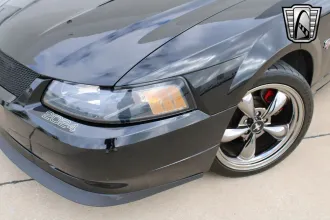 Mustang 14