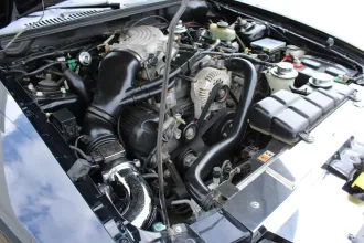 Mustang 18
