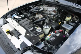 Mustang 21