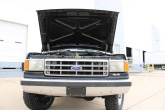 Bronco 15