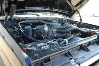 Bronco 14