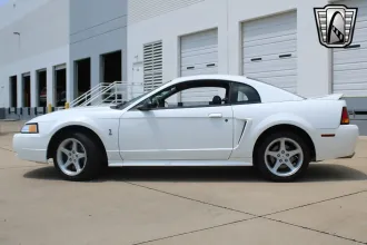 Mustang 2