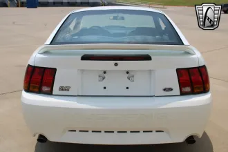 Mustang 3