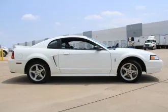 Mustang 6