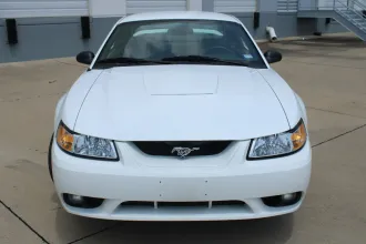 Mustang 7