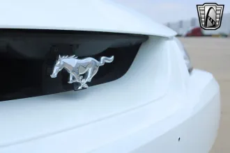 Mustang 11