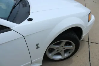 Mustang 15