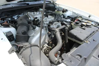 Mustang 16