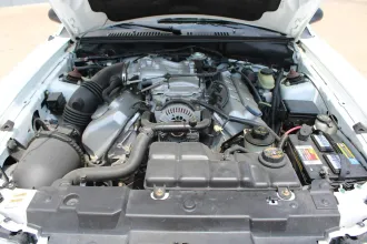 Mustang 17
