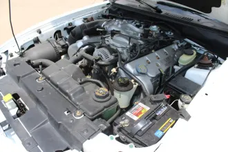 Mustang 19