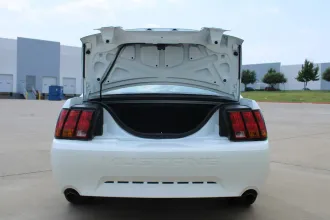 Mustang 20