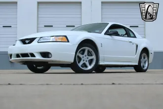 Mustang 25