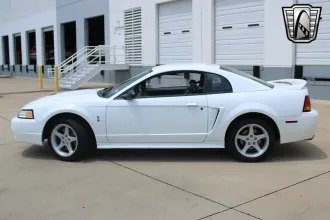 Mustang 26