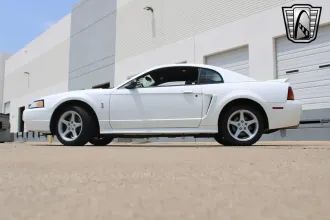 Mustang 27