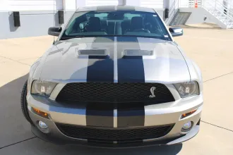 Mustang 7