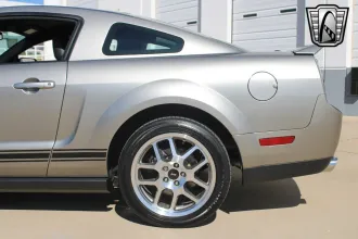Mustang 11