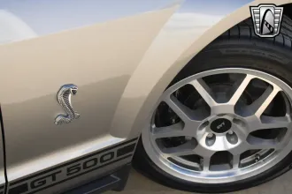 Mustang 12