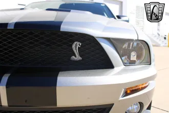 Mustang 13