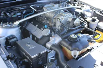 Mustang 16