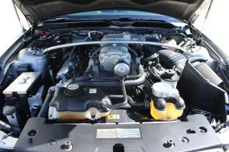 Mustang 17