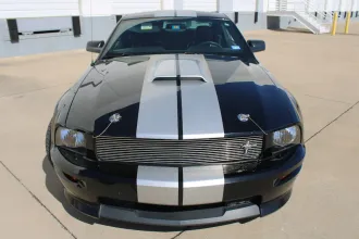 Mustang 8